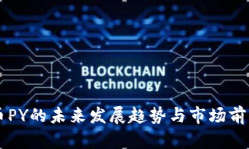 虚拟币PY的未来发展趋势与市场前景分析