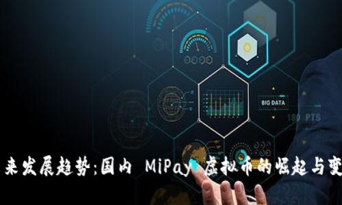 未来发展趋势：国内 MiPay 虚拟币的崛起与变革