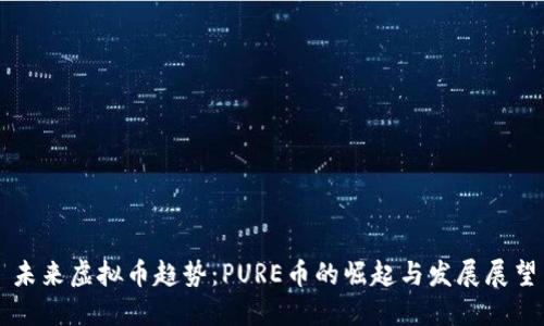 未来虚拟币趋势：PURE币的崛起与发展展望