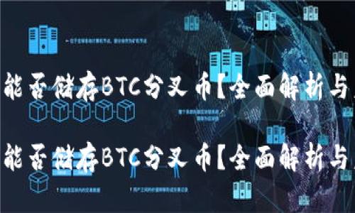 Tokenim钱包能否储存BTC分叉币？全面解析与未来发展趋势

Tokenim钱包能否储存BTC分叉币？全面解析与未来发展趋势