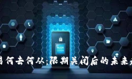 虚拟币交易何去何从：限期关闭后的未来趋势与发展