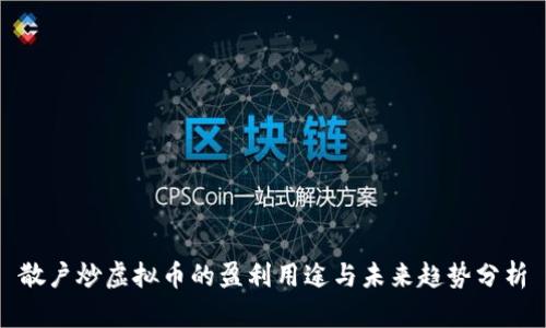 散户炒虚拟币的盈利用途与未来趋势分析