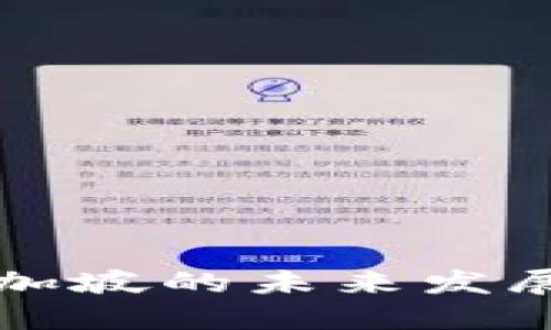 虚拟币在新加坡的未来发展趋势与挑战