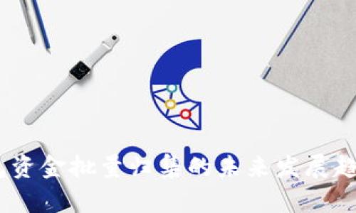 探索Tokenim钱包资金批量归集的未来发展趋势：如何资金管理
