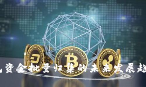 探索Tokenim钱包资金批量归集的未来发展趋势：如何资金管理