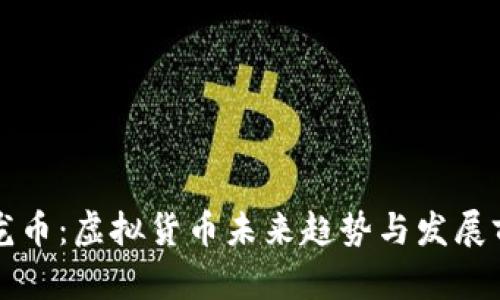 飞龙币：虚拟货币未来趋势与发展前景