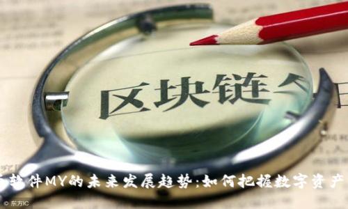虚拟币软件MY的未来发展趋势：如何把握数字资产的风口