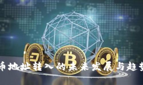 虚拟币地址转入的未来发展与趋势分析