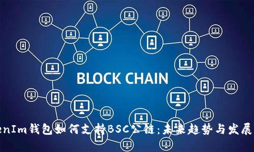 TokenIm钱包如何支持BSC公链：未来趋势与发展前景