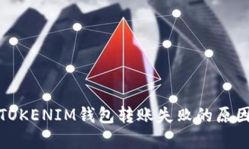解析TOKENTOKENIM钱包转账失败的原因及解决方案
