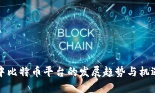 未来中比特币平台的发展趋势与机遇探讨