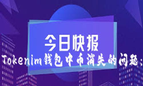 如何解决Tokenim钱包中币消失的问题：完整指南