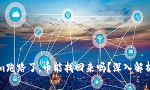 Tokenim跑路了，币能找回来吗？深入解析与对策