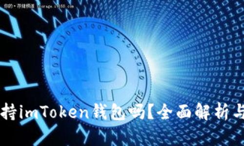 以太雾支持imToken钱包吗？全面解析与使用指南