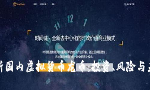 全面解析国内虚拟货币龙币：投资、风险与未来趋势
