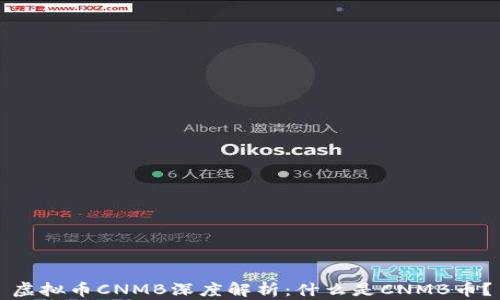 
虚拟币CNMB深度解析：什么是CNMB币？
