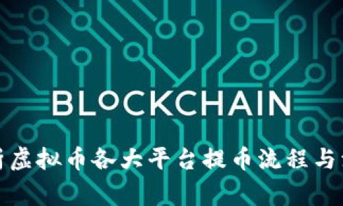 全面解析虚拟币各大平台提币流程与注意事项