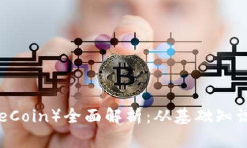 莱姆币（LimeCoin）全面解析：从基础知识到投资策略