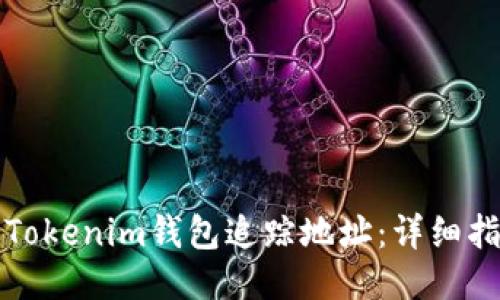 如何通过Tokenim钱包追踪地址：详细指南与技巧
