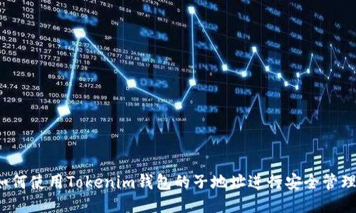 如何使用Tokenim钱包的子地址进行安全管理?