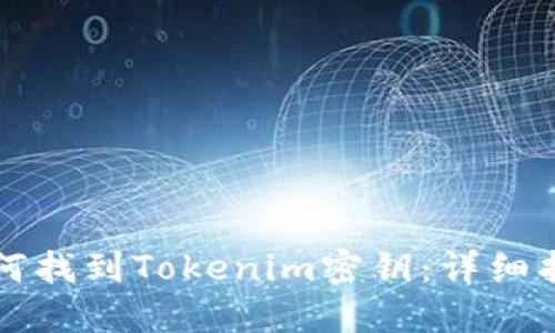 如何找到Tokenim密钥：详细指南