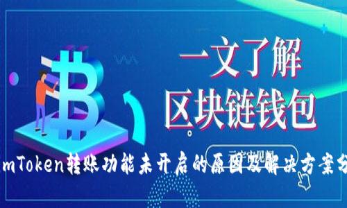 : imToken转账功能未开启的原因及解决方案分析