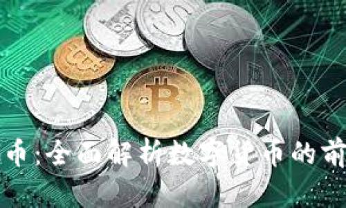 泰勒虚拟币：全面解析数字货币的前景与挑战