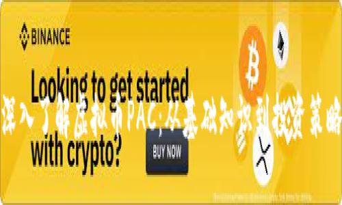 深入了解虚拟币PAC：从基础知识到投资策略