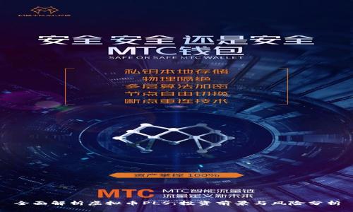 全面解析虚拟币PLS：投资前景与风险分析