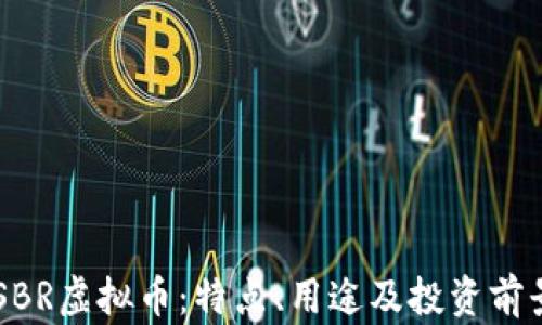 
了解SBR虚拟币：特点、用途及投资前景分析