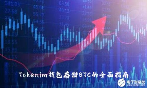 Tokenim钱包存储BTC的全面指南