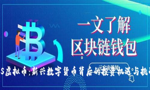 BS虚拟币：新兴数字货币背后的投资机遇与挑战