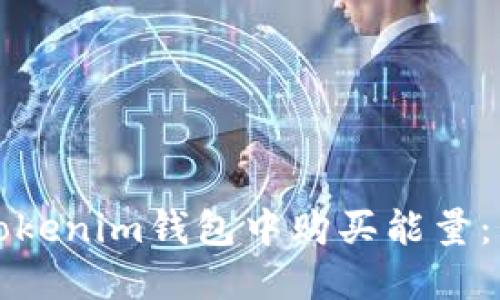 如何在Tokenim钱包中购买能量：详细指南