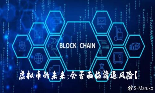 虚拟币的未来：会否面临清退风险？