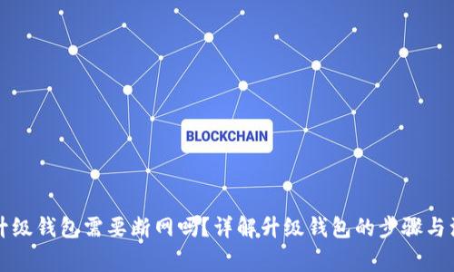 虚拟币升级钱包需要断网吗？详解升级钱包的步骤与注意事项