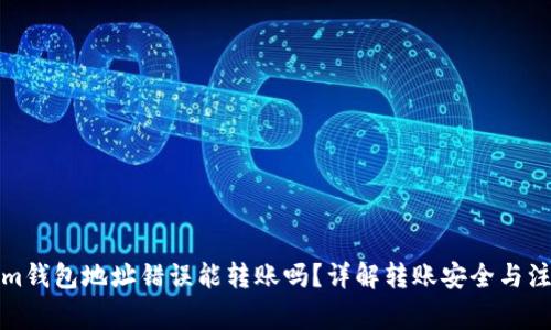 Tokenim钱包地址错误能转账吗？详解转账安全与注意事项