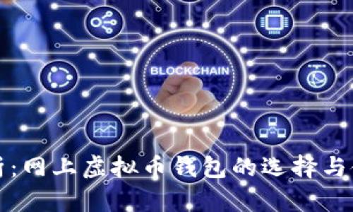 全面解析：网上虚拟币钱包的选择与使用指南
