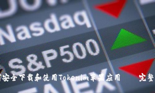 如何安全下载和使用Tokenim苹果应用 – 完整指南