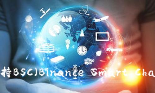 imToken钱包如何支持BSC（Binance Smart Chain）？详解及使用指南