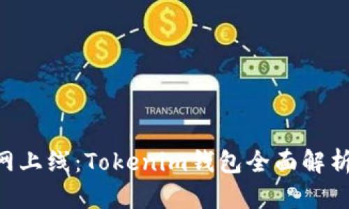 ZIL官网主网上线：Tokenim钱包全面解析与使用指南