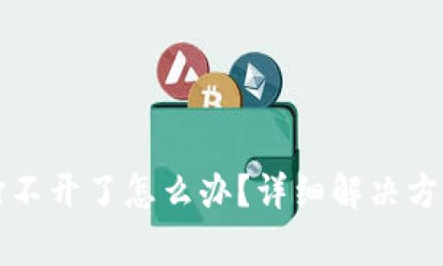虚拟币钱包打不开了怎么办？详细解决方案与注意事项