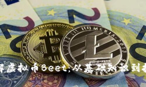 全面了解虚拟币Beet：从基础知识到投资策略