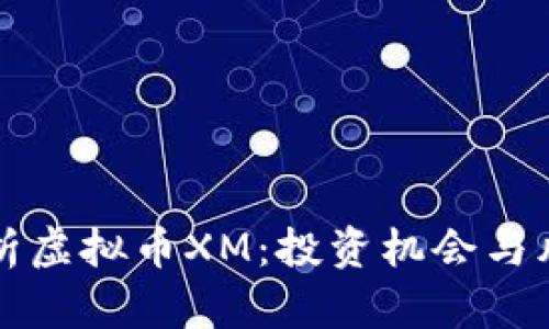 全面解析虚拟币XM：投资机会与风险分析