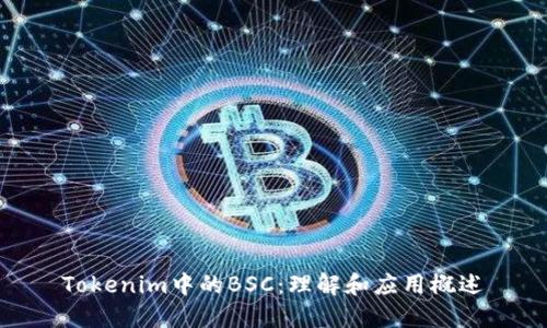 Tokenim中的BSC：理解和应用概述