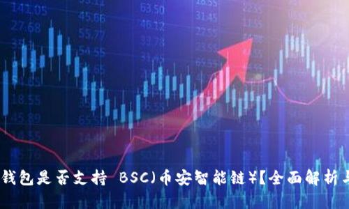 Tokenim 钱包是否支持 BSC（币安智能链）？全面解析与使用指南