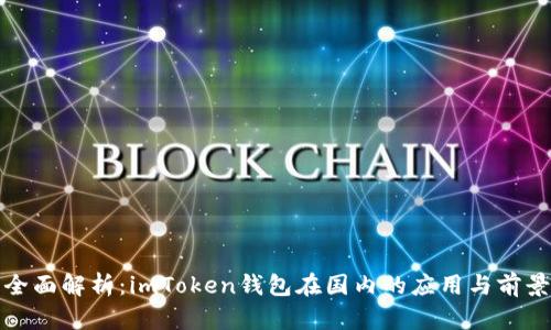全面解析：imToken钱包在国内的应用与前景