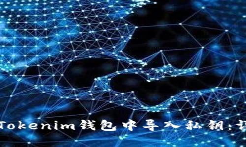 如何在Tokenim钱包中导入私钥：详尽指南