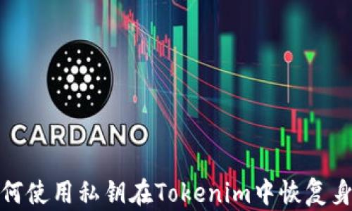 
如何使用私钥在Tokenim中恢复身份