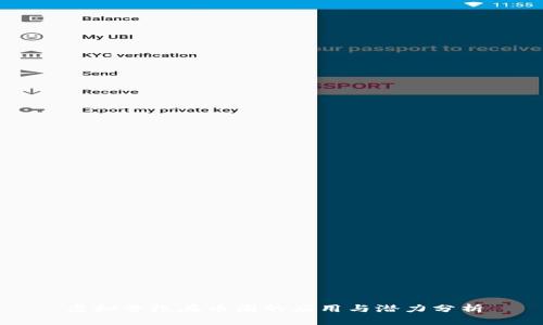 虚拟号段在币圈的应用与潜力分析