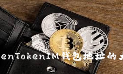 : 深入了解TokenTokenIM钱包地址的大小写字母规则